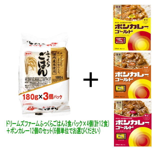 カレーライス　12食セット（レトルトごはん12個 レトルトカレー12個） 『送料無料(沖縄・離島除く)』ボンカレー