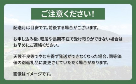 フルーツ定期便 旬のフルーツセット  いちご 柑橘類 スイカ メロン 梨 キウイ   南島原市   長崎県農産品流通合同会社 [SCB065]