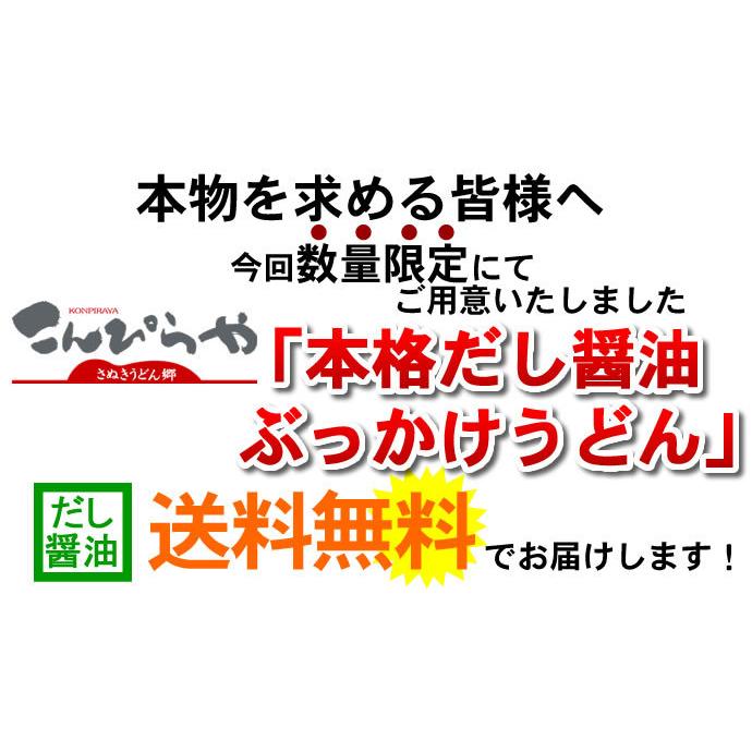 本場 さぬきうどん 本格天然だし醤油ぶっかけうどん ギフト 讃岐うどん16人前＆だし醤油500mlセット