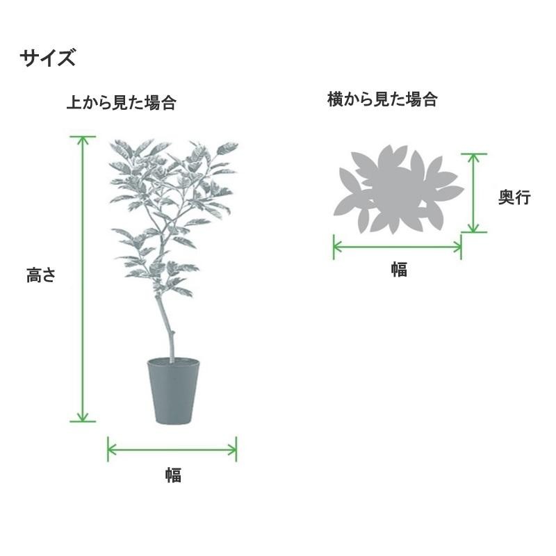 人工観葉植物 ガジュマル FST 120 ポット付き 高さ120cm （P51-91814) （代引き不可） | LINEブランドカタログ