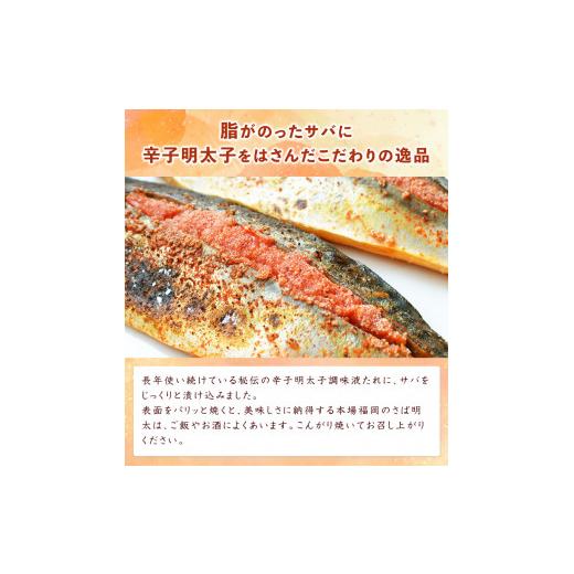 ふるさと納税 福岡県 小竹町 さば明太 6枚入り 2枚入り×3パック 秘伝の辛子明太子液たれ仕込み 株式会社マル五 《30日以内に順次出荷(土日祝除く)》福岡県 鞍…