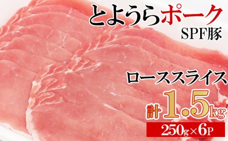 とようらポーク1.25kg ロース スライス 小分け 北海道豊浦産 SPF豚