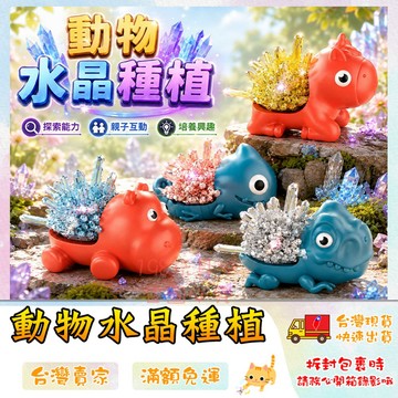 水晶種植 科學實驗 動物水晶種植 DIY 商檢合格 手做實驗 科學玩具 🔥台灣現貨🔥 😽198玩具城😽 W1142