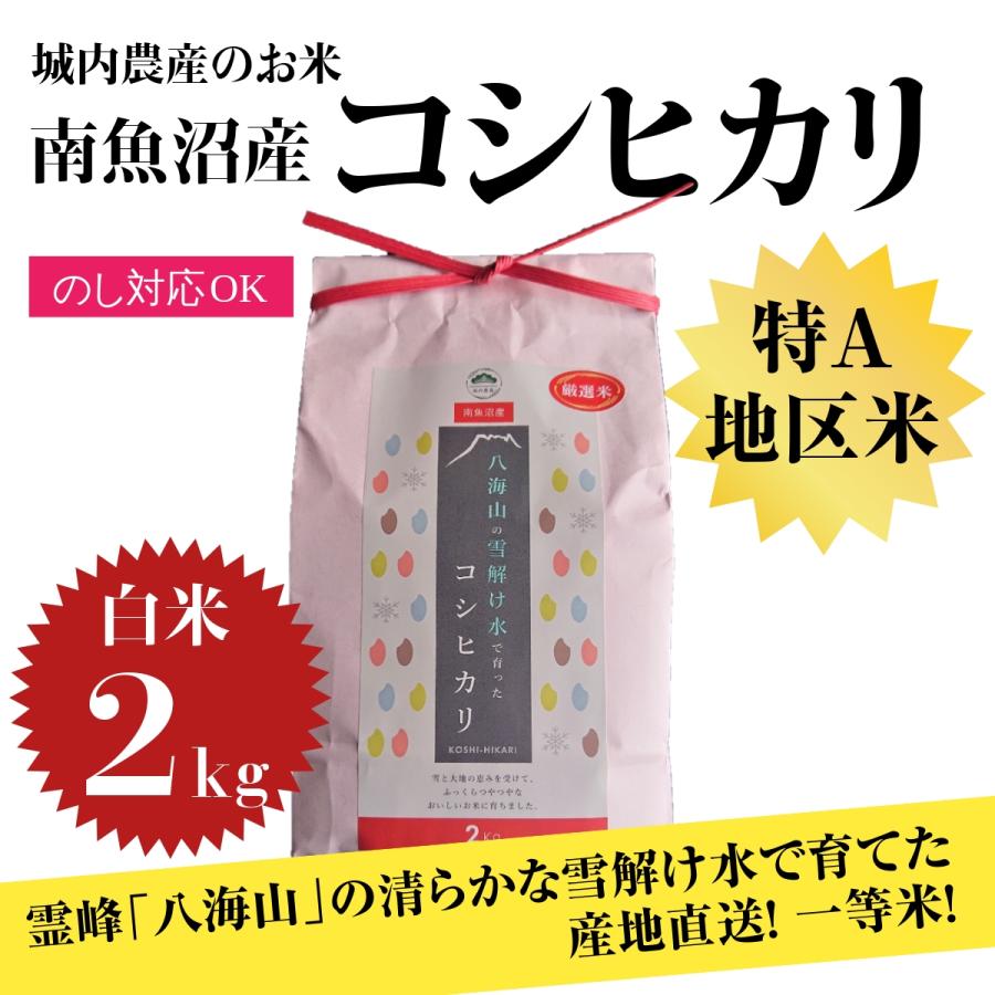 米 お米 新米 贈り物 のし無料 白米 2kg 令和5年産 新潟県 産地限定米 城内農産 南魚沼産コシヒカリ 送料無料(本州・中四国のみ)