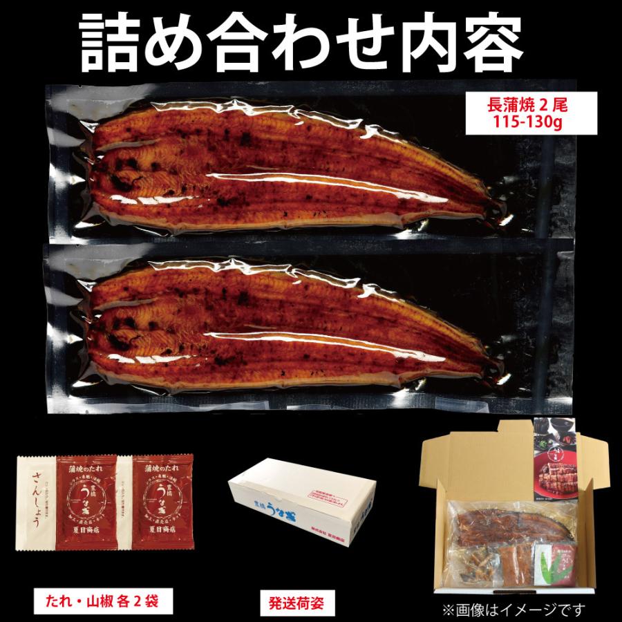 うなぎ 蒲焼き 国産 中115-130g×2尾 （約2人前） 送料無料 プレゼント 贈り物 お歳暮 ギフト