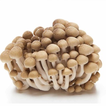 盛花園蔬果 南投國姓鄉鴻喜菇120g x15包(溫控栽培_具蟹香風味)