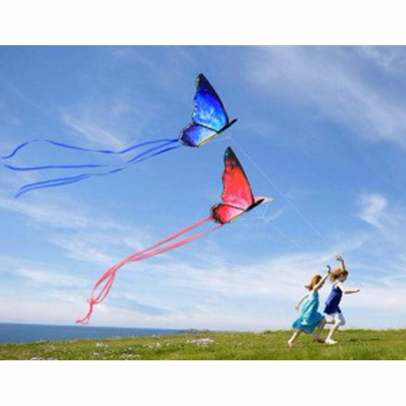 凧 凧揚げ 蝶 カイト チョウ タコ揚げ キッズ 凧揚げ 凧上げ 子供 おもちゃ 玩具 レジャー ピクニック キャンプ スポーツ 通販 Lineポイント最大4 0 Get Lineショッピング