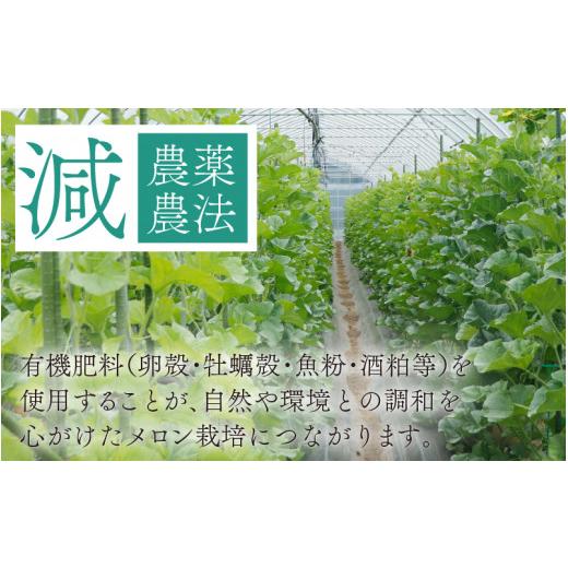 ふるさと納税 福井県 勝山市 勝山産アールスメロン1個入り化粧箱（赤肉） [A-060002]