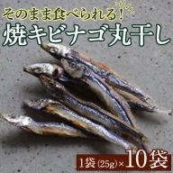 焼キビナゴ丸干し10袋セット(25g×10袋)海産物 きびなご おつまみ おかず19-37