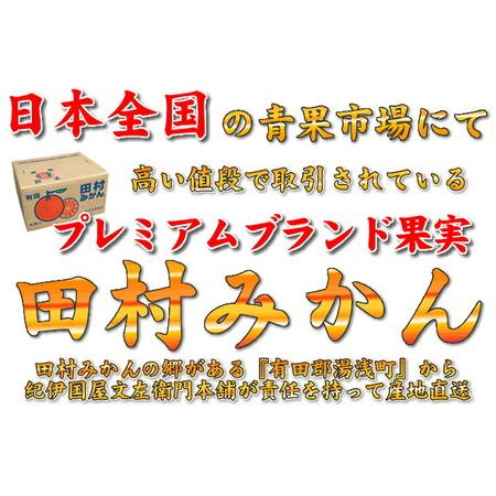 ふるさと納税 V6056_田村みかん特選ギフト品 10kg  赤秀 和歌山県湯浅町