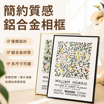 客製化🔥A1A2 廣告框 壓克力相框 海報簡介框 相框 海報框 金屬畫框 細邊海報框 壓克力相框 大相框 廣告牌 簡介框