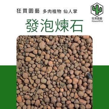 ［狂買園藝］發泡煉石 0.5公升小包裝 /園藝介質/多肉植物/觀葉植物/小品盆栽/仙人掌