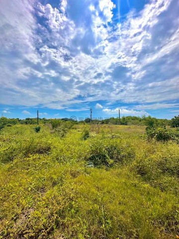 路竹#綠意盎然農地#退休首選#農夫生活｜高雄市路竹區三爺段