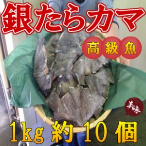 脂乗り 最高 ギンタラ カマ肉 1kg のし対応 お歳暮 お中元 ギフト BBQ 魚介