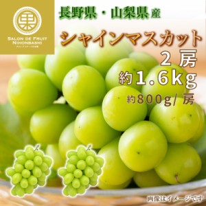 [最短順次発送]   シャインマスカット 2房 約1.6kg 約800g x2 特大 長野県 山梨県産 マスカット ぶどう 高糖度 ギフト 贈答用 通販   夏