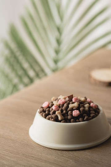 造型香草乾乾• 毛孩饗宴蠟燭