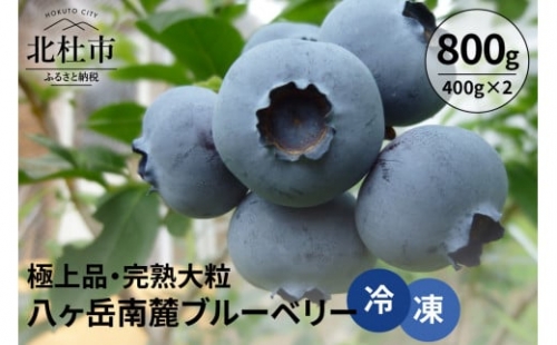 八ヶ岳南麓ブルーベリー（冷凍）800ｇ（400ｇ×2）