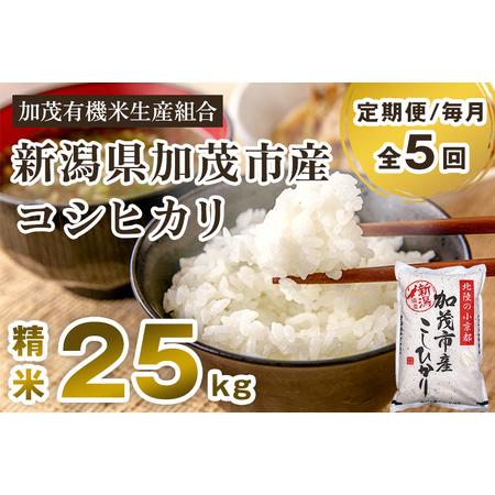 ふるさと納税 新潟県加茂市産コシヒカリ 精米25kg（5kg×5）白米 加茂有機米生産組合 定期便 定期購入 定期 コシ.. 新潟県加茂市