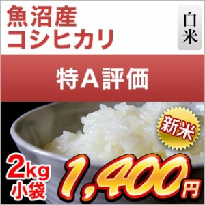 新米 令和5年(2023年)産 新潟県魚沼産 コシヒカリ〈特A評価〉2kg