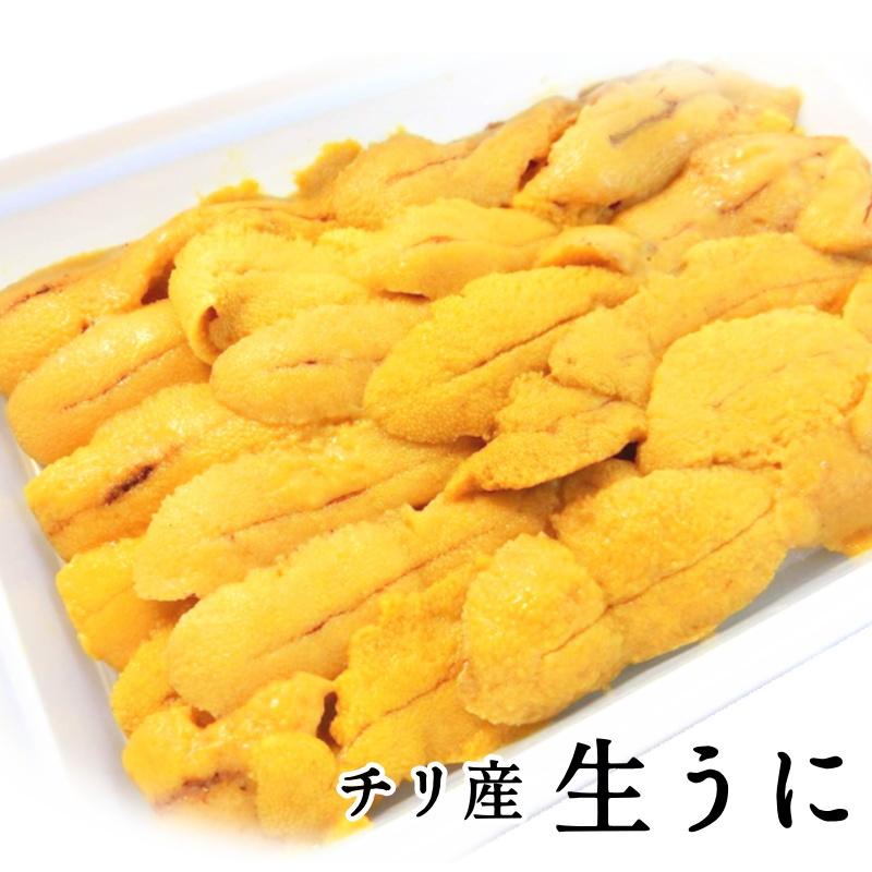 生うに　冷凍　 お刺身用 100ｇ チリ産・冷凍うに・