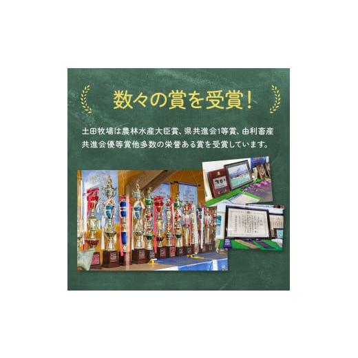 ふるさと納税 秋田県 にかほ市 2週間ごとお届け！幸せのミルク 900ml×3本 11ヶ月定期便（牛乳 定期 栄養豊富）