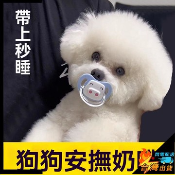 【台灣出貨】寵物玩具 狗狗奶嘴 小狗磨牙解悶玩具 幼犬安撫奶嘴 比熊新生睡覺奶嘴 狗狗專用 寵物安撫奶嘴