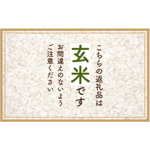 ふるさと納税 福井県 越前町 [e30-a054] ハナエチゼン 3kg 令和5年 福井県産