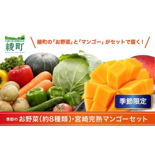 ふるさと納税 宮崎県 綾町 完熟 マンゴー 旬 野菜 セット 季節 限定 新鮮 美味しい 宮崎 果物 フルーツ 先行受付 送料無料（04-76）