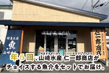 ＜定期便6回＞北海道産 旬のお魚 4~5種 お楽しみ定期便