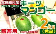 贈答用　宜野座村産キーツマンゴー「マンゴーの丘」秀品　2kg