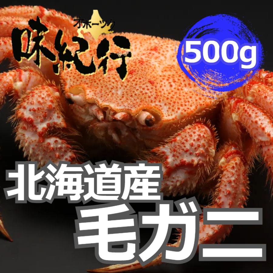 毛ガニ 北海道産 約500g 1尾入り ボイル済 送料無料 ギフト 毛がに カニ かに 蟹