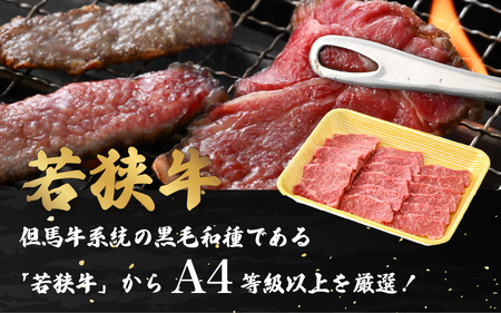 若狭牛 和牛肩ロース焼肉用 計500g（250g × 2パック）福井県産 肩ロースA4等級 以上を厳選！[e02-b009]