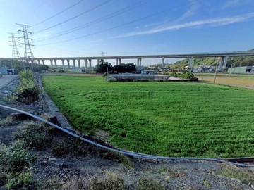 急售低於公告現值農地苗栗縣通霄鎮台一線旁｜苗栗縣通霄鎮梅南