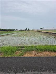 民雄嘉義大學旁稀有惜售美農地｜嘉義縣民雄鄉菁埔