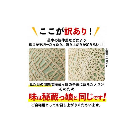 ふるさと納税 鹿児島県 志布志市 a0-169 牧さんの訳ありメロン 赤玉(赤肉)1玉