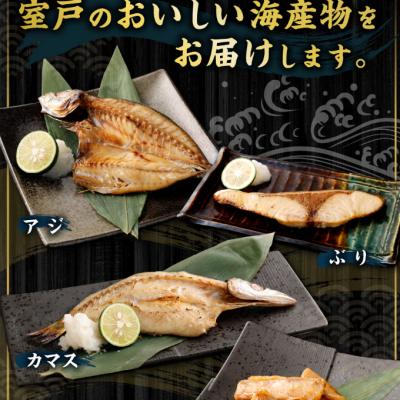 ふるさと納税 室戸市 ナカイチ厳選!カツオたたきと干物セットA