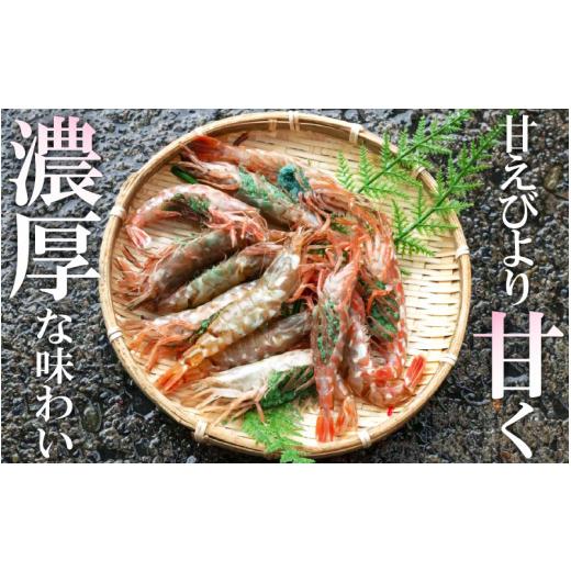 ふるさと納税 福井県 越前町 [e12-b002] 「幻のえび」 越前エビ 1kg （500g × 2箱） 船内凍結 鮮度と旨味に自信あり！【 福井漁連 ブランド品 越前えび 1キロ…