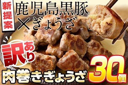 お肉屋さんの黒豚肉巻餃子 計30個(10個入×3袋) a1-009