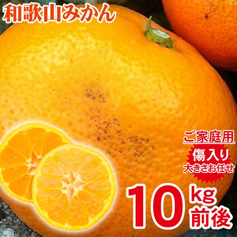 送料無料 キズ有り 訳あり 家庭用 みかん 和歌山県産 和歌山みかん 温州みかん 2Lサイズ以上 サイズ混合 約8kg前後 キズあり 国産  国産みかん