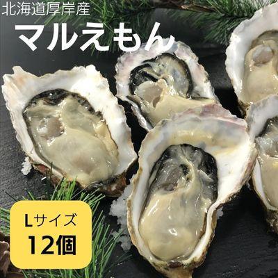 ふるさと納税 厚岸町 北海道厚岸町産 牡蠣 生食用 殻付カキ 「マルえもん」Lサイズ12個入り