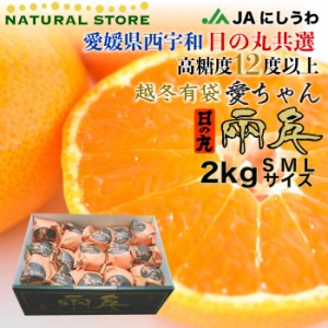 [予約 2024年2月16日-2月28日の納品] 日の丸 超冬有袋みかん 愛ちゃん 2kg 化粧箱 みかん 化粧箱 愛媛県西宇和 日の丸みかん 蜜柑 ギフト