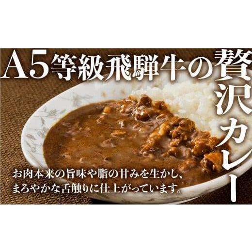 ふるさと納税 岐阜県 高山市 飛騨牛 5等級 カレー 5食セット 肉 レトルト 人気 飛騨高山 ながせ食品 TR3844