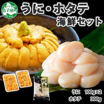 ふるさと納税 弟子屈町 ウニ 200g  ホタテ 300g 海鮮丼セット 北海道 弟子屈町 1728