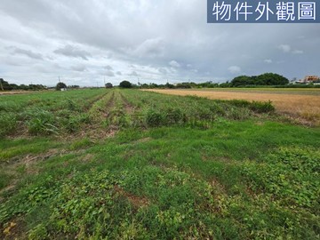 橋頭特農#近高大特區臨路好進出#地形方正溝渠灌溉｜高雄市橋頭區頂塩田段