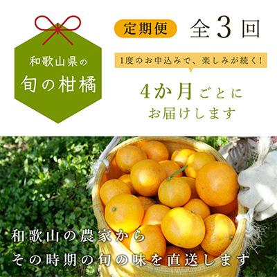 ふるさと納税 広川町 和歌山有田の季節の柑橘5kg フルーツ定期便 4か月ごと(2月6月10月)全3回