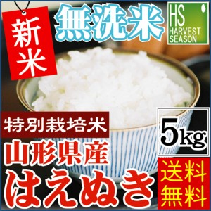 新米 令和5年産 無洗米 特別栽培米 山形県産 はえぬき 5kg [翌日配送] 送料無料 北海道沖縄へは別途送料760円