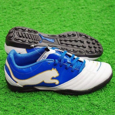 パワーキャット1 SG 黒×緑