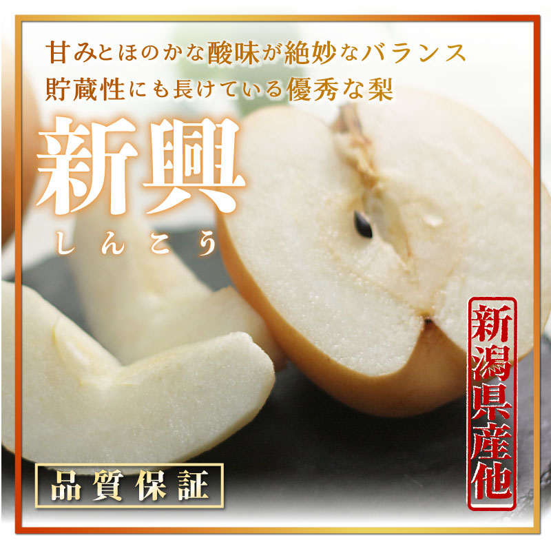 [予約 2023年 12月1日-12月10日の納品]  新興 和梨 約5kg 6-12玉 新潟県 埼玉県 茨城県 他 秋ギフト 梨 日本梨 冬ギフト お歳暮 御歳暮