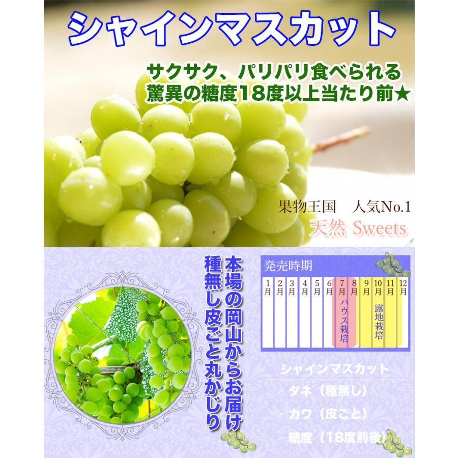 2023 お試し用 岡山県産 シャインマスカット 晴王 優品 5kg(5〜10房) 簡易包装 ご家庭用 傷・小粒・粒抜けなど お買い得品 ぶどう フルーツ