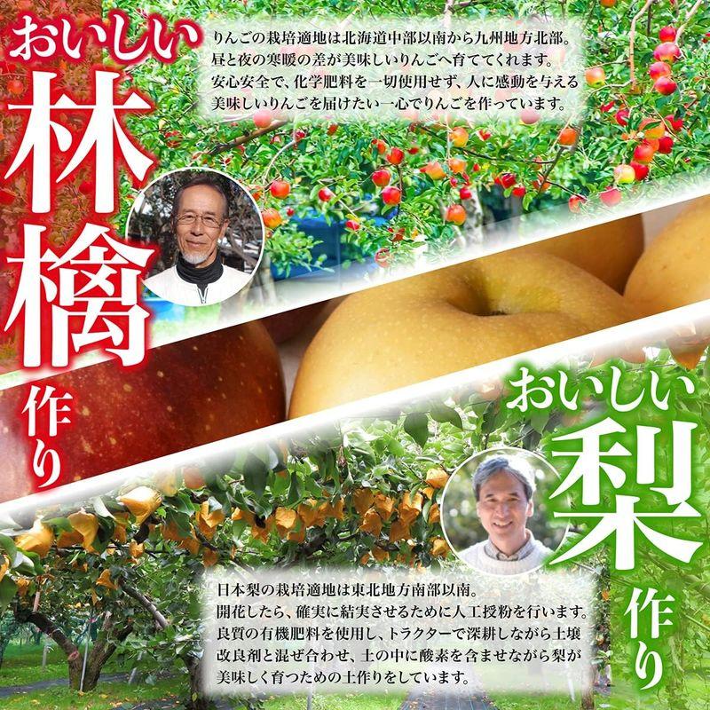 青肉メロン りんご 青りんご ギフトセット 完熟 高級 赤秀A 野菜ソムリエ監修 熨斗対応可能